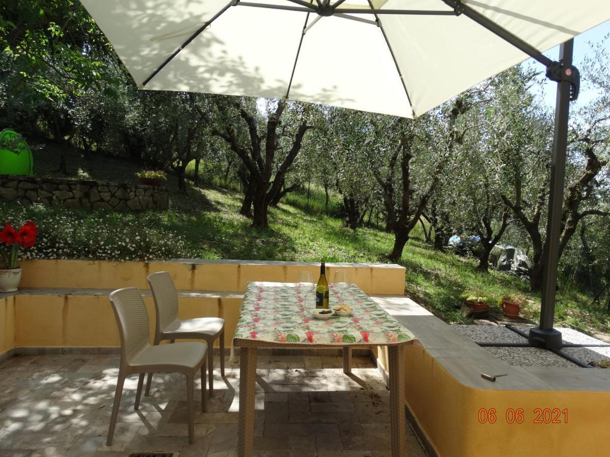 Poggio House, Tranquillità E Comfort Nella Natura Appartement *