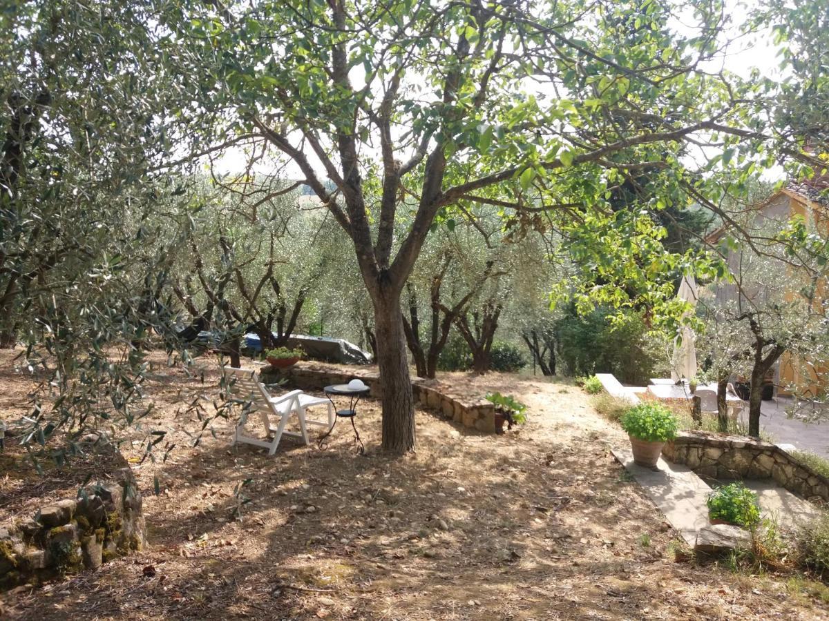 Poggio House, Tranquillità E Comfort Nella Natura Appartement *