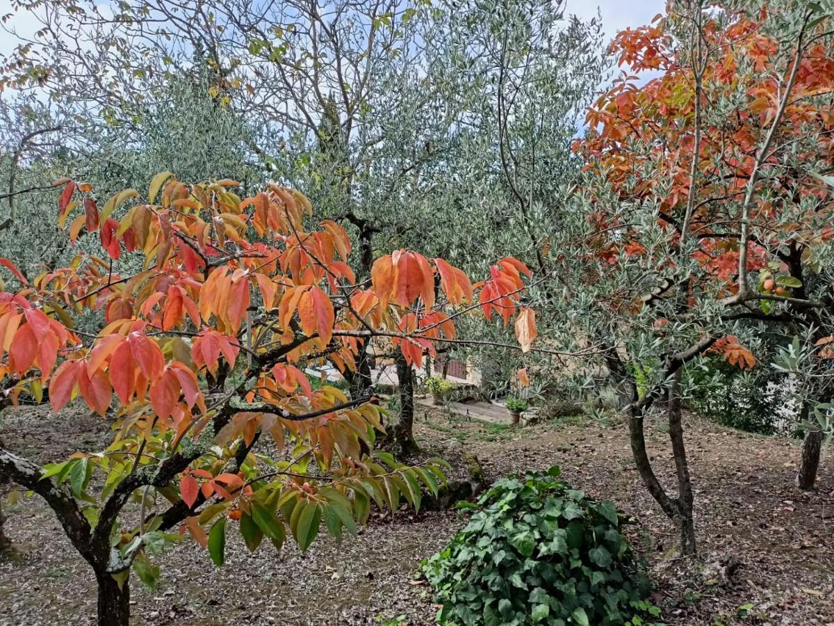 Poggio House, Tranquillità E Comfort Nella Natura San Casciano in Val di Pesa