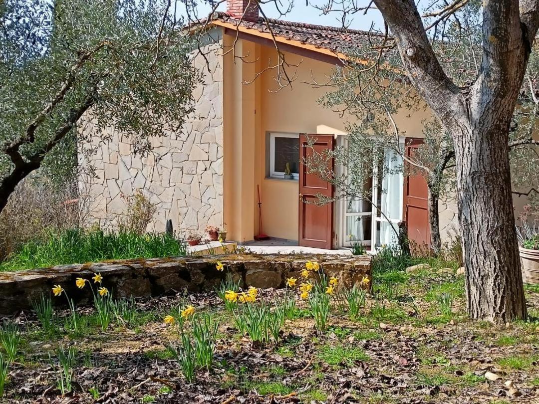 Appartement Poggio House, Tranquillità E Comfort Nella Natura