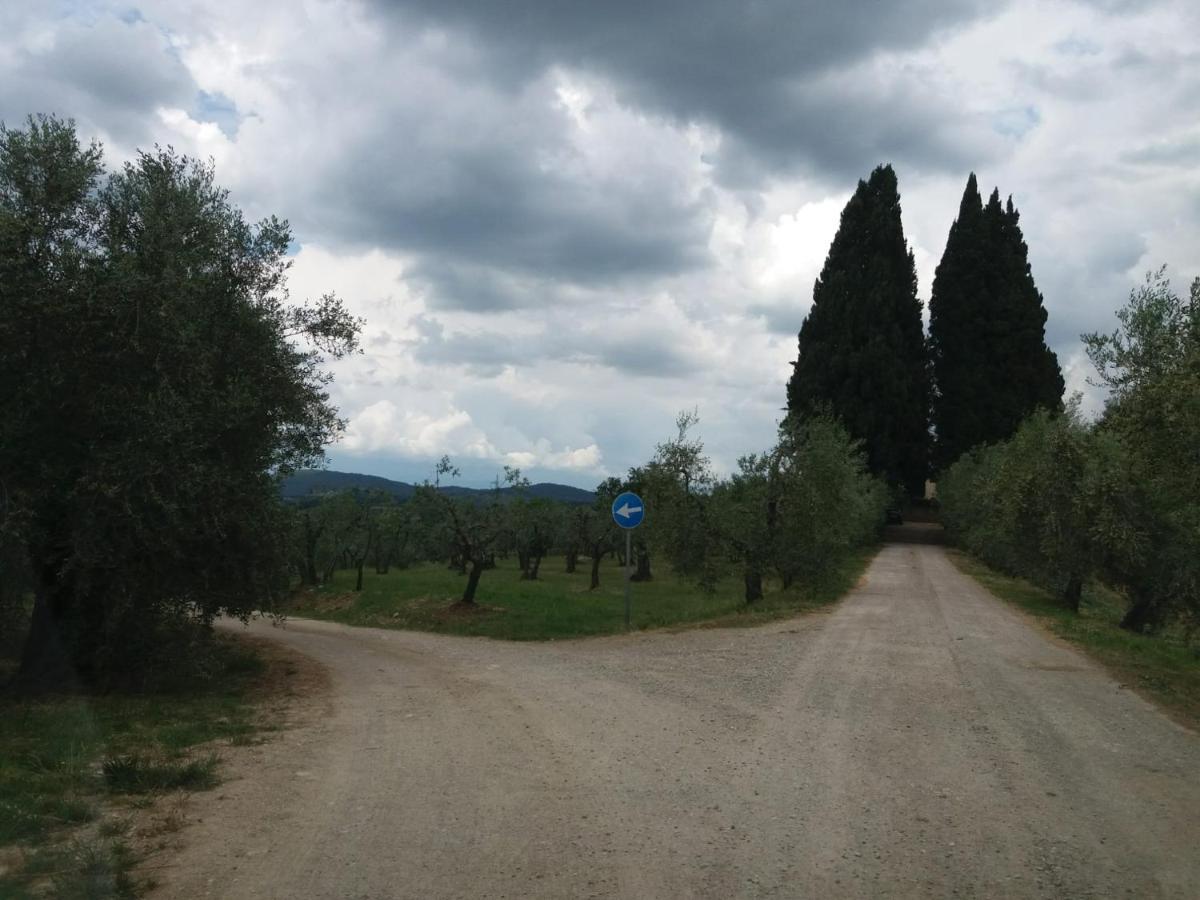 Poggio House, Tranquillità E Comfort Nella Natura